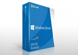 Microsoft Windows Server