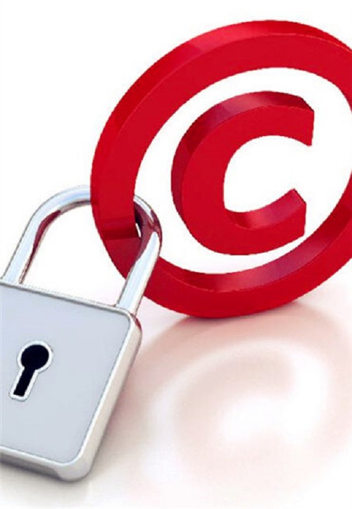 software-copyright-protection-11